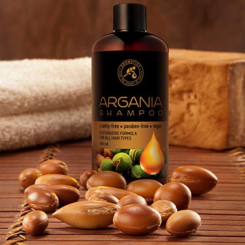 Aceite de Argan 480ml - Shampoo con Aceite de Argán Natural y Extractos de Hierbas - para Todo Tipo de Cabello - Fórmula Reparadora Especial para Hombres - Cuidado del Cabello - Argan Oil Champu