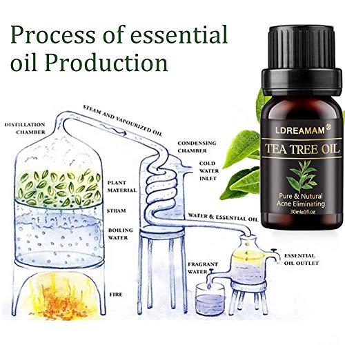 Aceite Esencial de Árbol,Aceite esencial de árbol de té,Tea Tree Essential Oil,Para masaje,Alivia las irritaciones comunes de la piel,la piel seca y agrietada,las cutículas y las espinillas,anti-acné