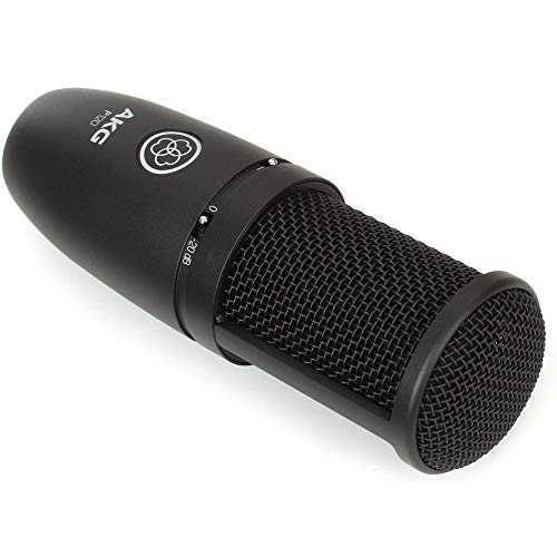 AKG - P120 Perception Micrófono Cardioide Vocal, Negro