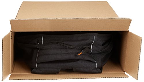 AmazonBasics - Mochila para ordenador portátil de hasta 17 pulgadas (43 cm), Negro