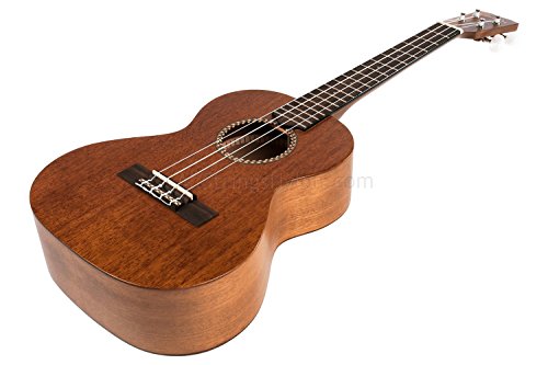 Aquila 103U - Juego de cuerdas para ukelele de concierto en Sol, Do, Mi, La