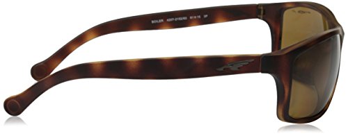 Arnette Boiler Gafas de Sol, Fuzzy Havana, 61 para Hombre