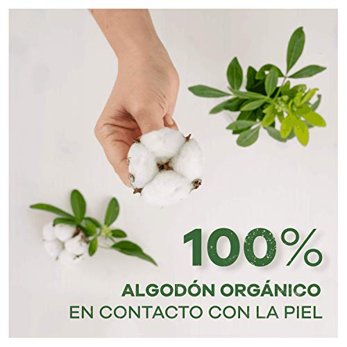 Ausonia Cotton Protection Normal (tamaño 1) Compresas Con Alas, 12, Capa Superior De Algodón 100 % Orgánico