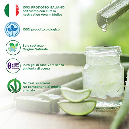 Benessence - CHAMPÚ ANTICASPA Orgánico en Aloe Vera Orgánico - 250 ml