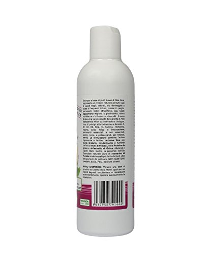 Benessence - CHAMPÚ ANTICASPA Orgánico en Aloe Vera Orgánico - 250 ml