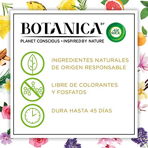 Botanica by Air Wick Varitas Perfumadas - Ambientador Mikados, Esencia Para Casa con Aroma a Vainilla y Magnolia del Himalaya - 100 ml