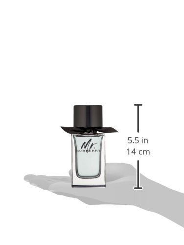 Burberry Mr. Burberry Agua de Tocador - 100 ml