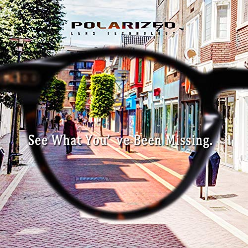 Carfia Vintage Polarizadas Gafas de Sol Mujer Hombre UV400 Protección para Viajes Conducir