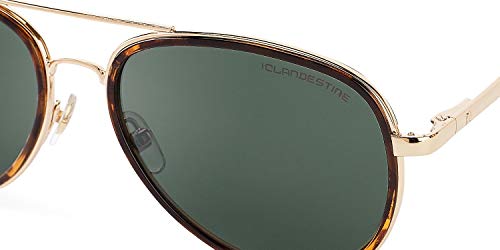 CLANDESTINE A15 Gold Habana Dark Green - Gafas de sol Nylon HD Hombre & Mujer