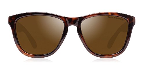 CLANDESTINE Model Habana Brown - Gafas de Sol de Nylon HD para Hombre & Mujer