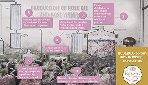 Crema familiar 3 en 1 con aceite de rosa para la cara y el cuerpo, restaura y mejora la elasticidad de la piel. Para toda la familia