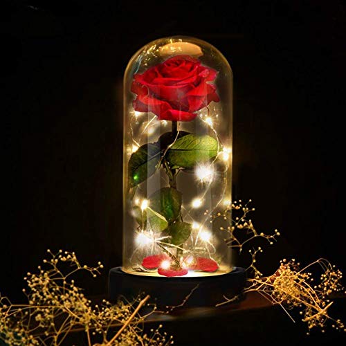 E-MANIS Kit de Rosas,La Bella y La Bestia Rosa Encantada,Elegante Cúpula de Cristal con Base Pino Luces LED,Beauty and Regalos Magicos Decoración para Día de San Valentín Aniversario Bodas