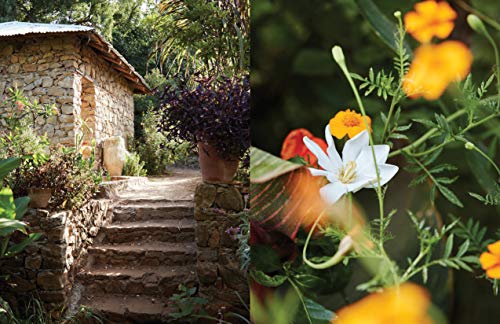 Eden Revisited a Garden in Northern Morocco /Anglais