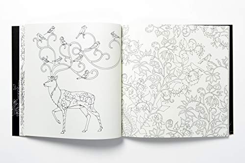 Enchanted Forest. An Inky Quest And Colouring Book