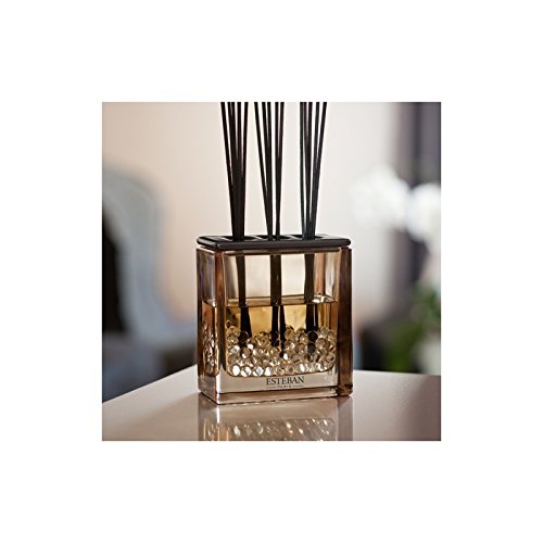 Esteban - Refill for Cedar Fragrance Bouquet by Esteban Parfums d'ambiance