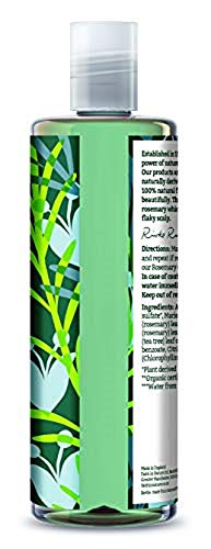 Faith in Nature Champú Natural de Romero, Equilibrante, Vegano y No Testado en Animales, sin Parabenos ni SLS, para Cabello de Normal a Graso, 400 ml