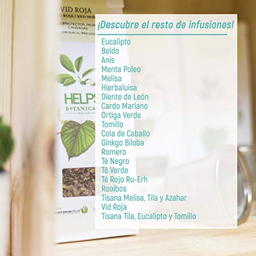 HELPS INFUSIONES - Infusión Depurativa De Cardo Mariano. Té Detox Natural Regenerador Del Hígado. Bolsa A Granel De 100 Gramos.