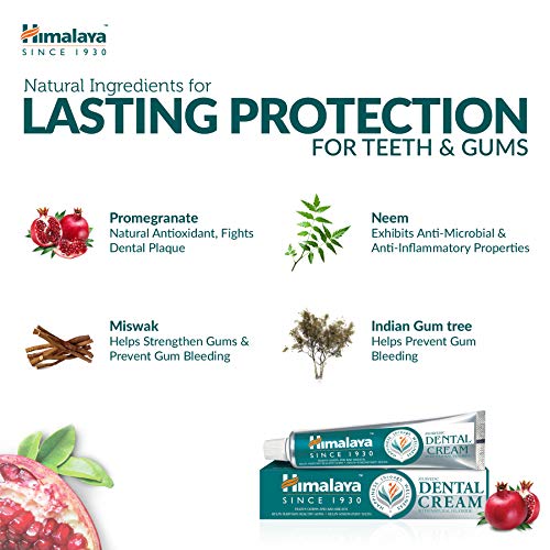 Himalaya Herbals - Pasta dental, Antiinflamatorio, Anti-hinchazón, Protección de encías Cuidado dental, 100g