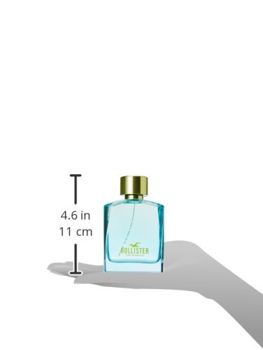 Hollister Wave 2 for him eau de toilette spray 100ml