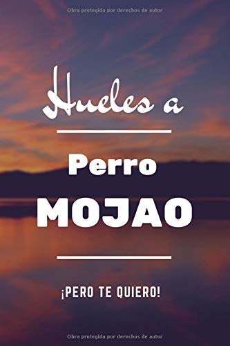 Hueles a Perro Mojao ¡Pero Te Quiero!: Regalo de San Valentín para Hombre o Mujer | Tamaño A5 | Portada Original Y Romántica | Con 110 Páginas para Escribir lo Que Quiera