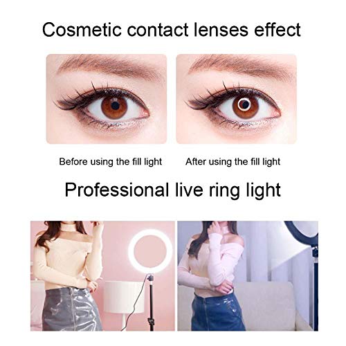 LED Live Streaming Ring Light, Fotografía Selfie Tattoo Fill Light + Transmisión en vivo Autotemporizador Beauty Fill Light Anillo Lámpara para Mujeres y Hombres y Salón y Belleza Blog Maquillaje Vide