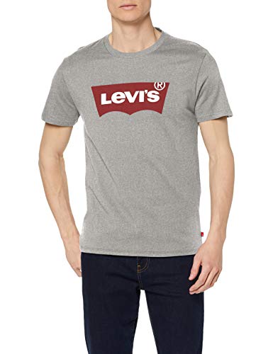 Levi's Graphic Set-In Neck, Camiseta para Hombre, Gris (C18976 Graphic H215 Midtone Htr Grey Graphic H215-Hm 36.2 138), XX-Small