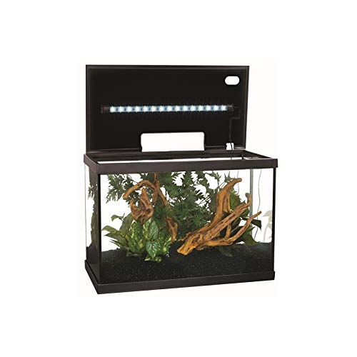 Marina Kit de Acuario con Iluminación LED 5G, 20 L