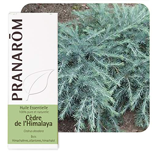 Pranarom - Cedro de la Himalaya, Aceite Esencial Natural 10ml