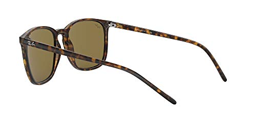 Ray-Ban 0RB4387 Gafas de sol, Havana, 55 para Hombre