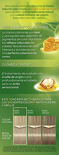 Schwarzkopf Palette Naturals - Coloración Permanente Tono 8.1 Rubio Claro Helado, 550 gr (Pack de 5)