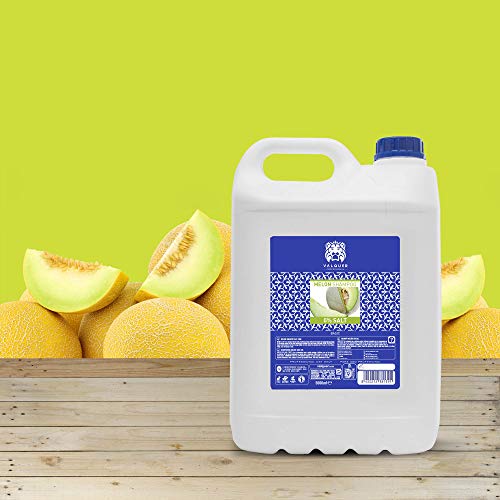 Valquer Profesional Champú Soso Melón para peluquería. Champú garrafa para profesional. Sin sal-5000ML