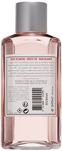 1902 White Fig by Berdoues 8.3 oz Eau de Cologne Splash by Berdoues