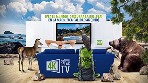 4K Nature Relax TV