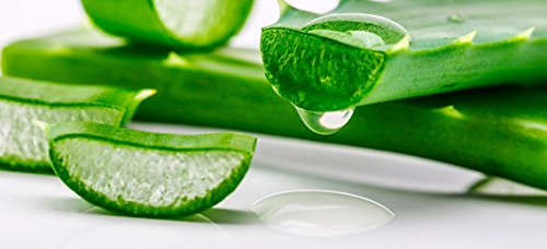 50 ml Crema Facial de Aloe Vera Hydraplus con Filtro SPF 15. Con Aceite de Aguacate y Rico en Vitamina E. Aloe Vera de Cultivo 100% Ecológico, sin Conservantes ni Agua Añadida