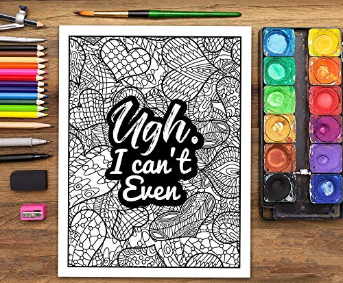 A Snarky Adult Colouring Book: I Run on Coffee, Sarcasm & Lipstick: Volume 1