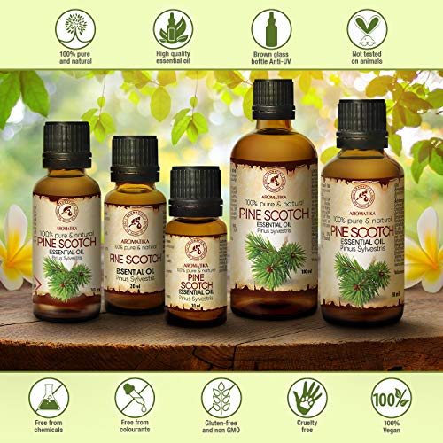 Aceite Esencial de Pino Escocés 50ml - Pinus Sylvestris - Austria - 100% Puro y Natural - Mejor para Aromaterapia - Baño de Aroma - Difusor - Fragancia para el Hogar - Pine Essential Oil