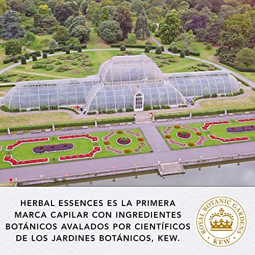 Acondicionador Herbal Essences Bio: Renew sin Sulfatos con Aloe Intenso Y Hemp, en Colaboración con el Royal Botanic Gardens de KEW