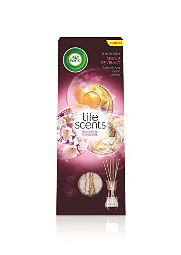 Air Wick Varitas Perfumadas - Mikados Ambientador, esencia para casa con aroma a Delicias de Verano - 1 unidad