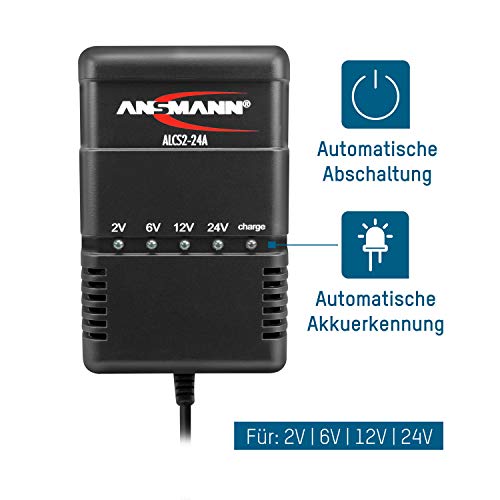 ANSMANN Cargador de batería para pequeños vehículos - 2V, 6V, 12V y 24V pilas de plomo - a partir de 1,3 Ah - Corriente de carga 300mA - 900mA