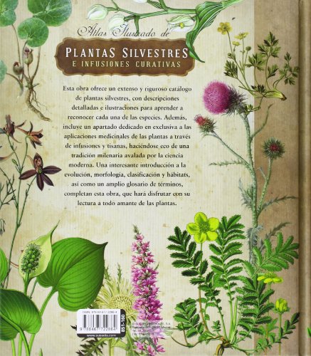 Atlas ilustrado de las plantas silvestres e infusiones curativas