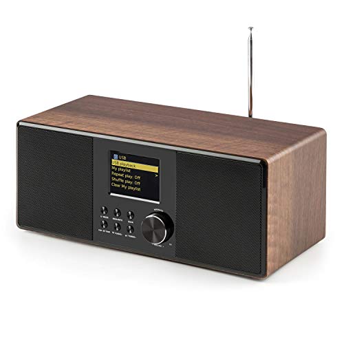 AUNA Connect 120 - Radio por Internet, Digital, WLAN, Reproductor en Red, Dab/Dab+/FM con RDS, Bluetooth, AUX, Puerto MP3-USB, Despertador, Visualización Hora, Modo sueño, Marrón