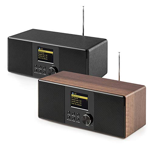 AUNA Connect 120 - Radio por Internet, Digital, WLAN, Reproductor en Red, Dab/Dab+/FM con RDS, Bluetooth, AUX, Puerto MP3-USB, Despertador, Visualización Hora, Modo sueño, Marrón