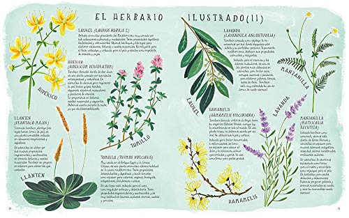 Belleza orgánica. Manual ilustrado de cosmética natural (GGDiy)