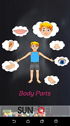 Body Parts