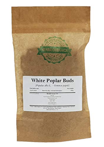 Brotes de Álamo Blanco/Populus Alba L/White Poplar Buds # Herba Organica # (100g)