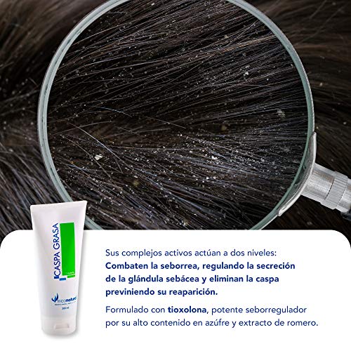 Champu Anticaspa pelo graso sin sulfatos ni parabenos tratamiento profesional sólido Anticaspa y seborreica y Dermatitis función 2 en 1 Anti caspa y elimina la grasas del cuero cabelludo 200ml