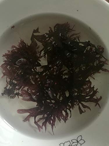 Dried Algae Red Seaweed,Algas Secas Algas Rojas 100g (pack of 2)