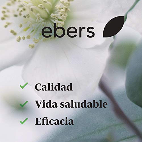 Ebers Aceite de Crisálida de Seda - 20 ml (60500200)