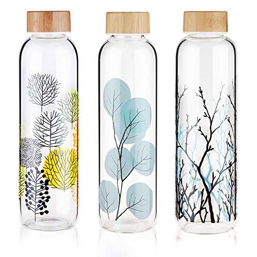 FCSDETAIL Botella de Agua de Cristal sin BPA, Botella de Agua de Vidrio de Borosilicato con Funda de Neopreno y Tapa de Bambú 420ml / 660ml / 1000ml