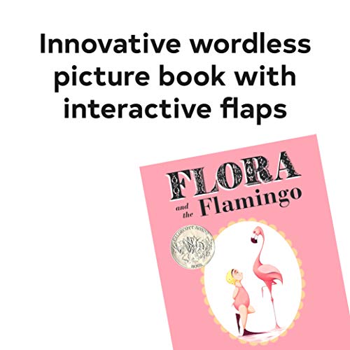 Idle, M: Flora and the Flamingo (Flora and Her Feathered Friends-books)